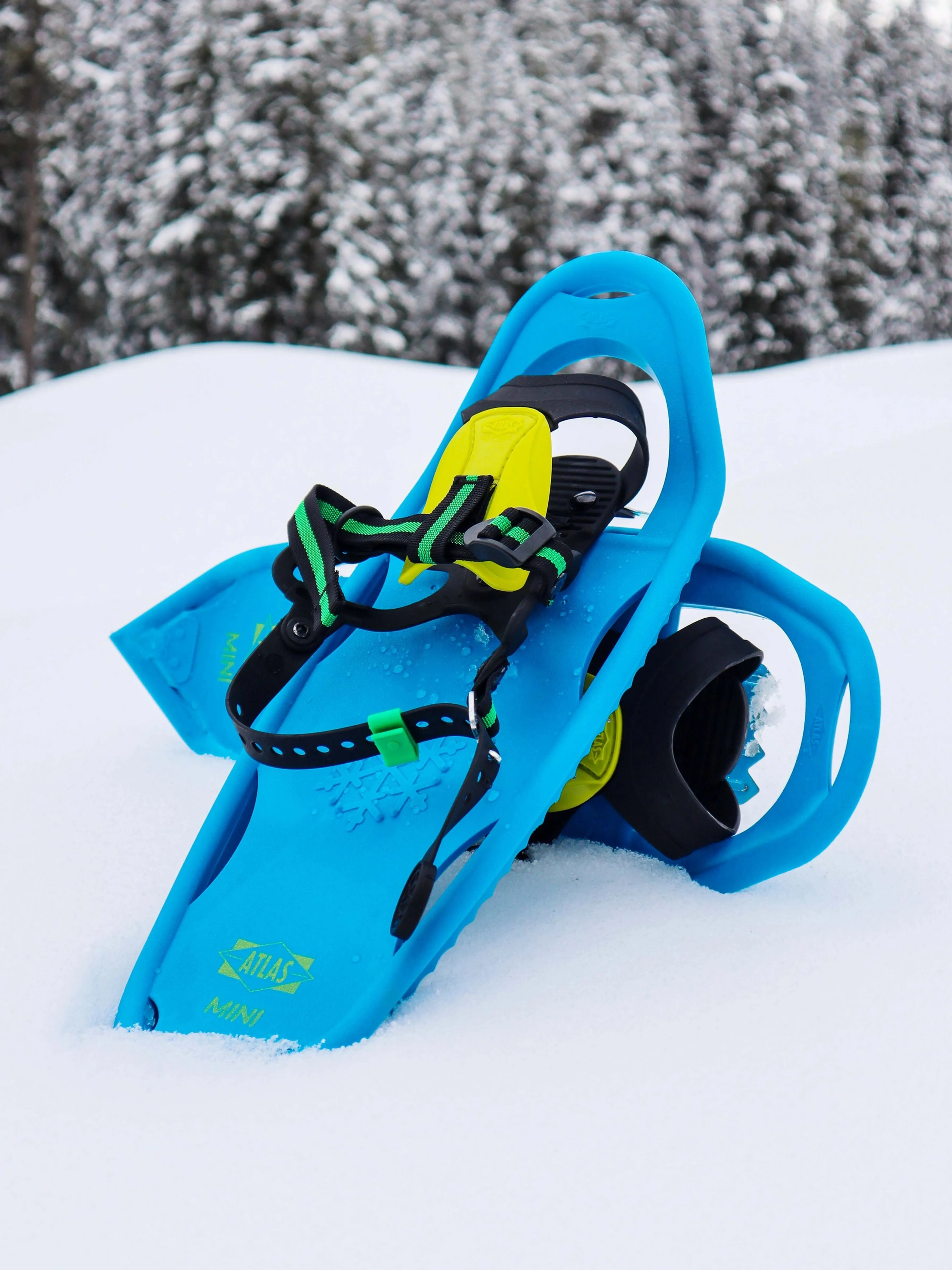 Kid's Mini Snowshoe