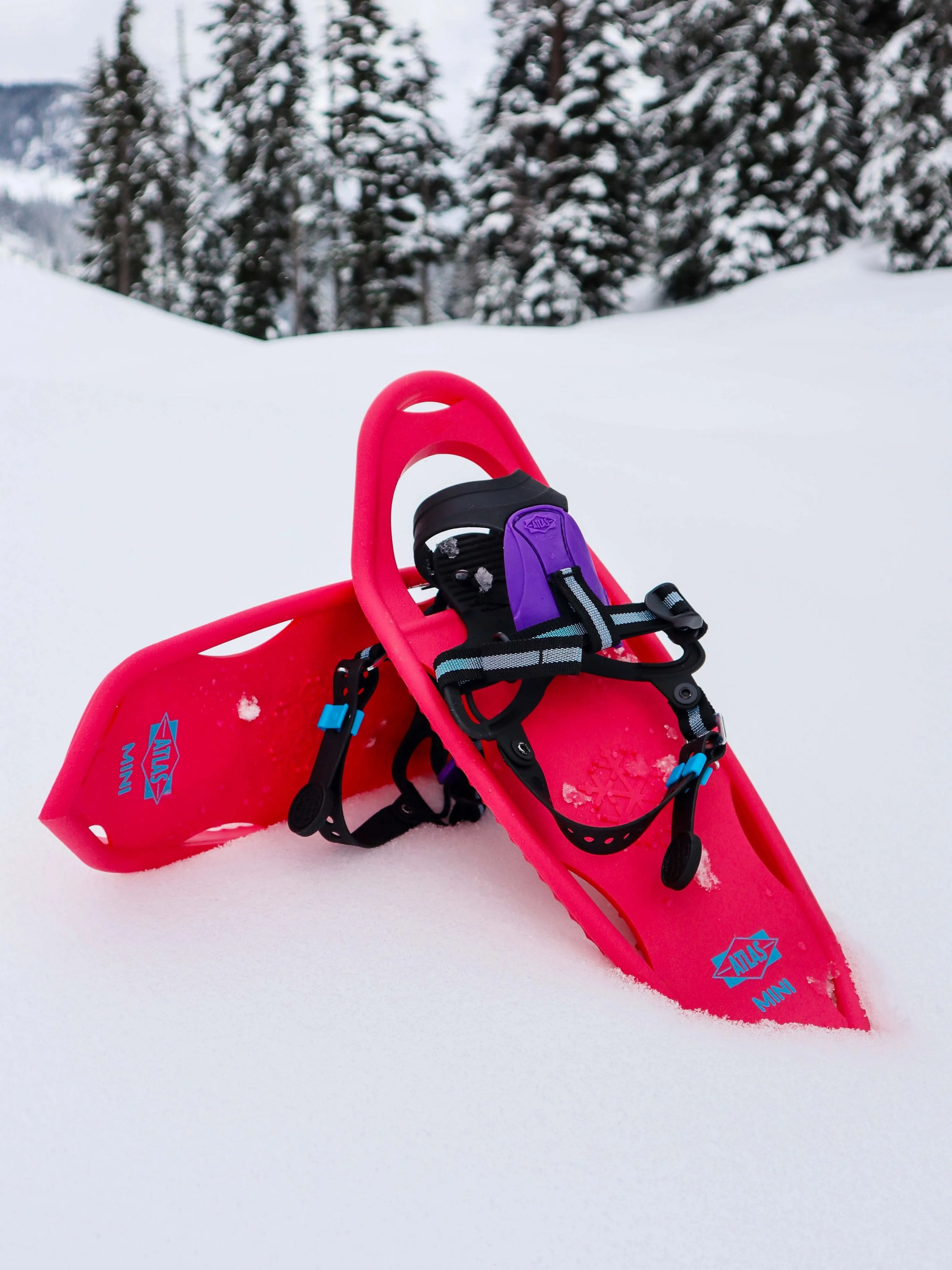 Kid's Mini Snowshoe